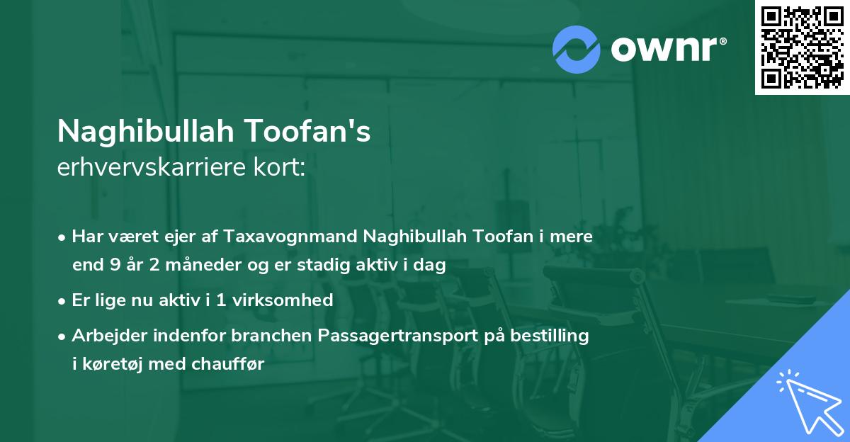 Naghibullah Toofan's erhvervskarriere kort
