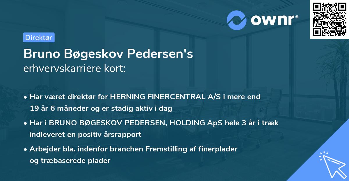 Bruno Bøgeskov Pedersen's erhvervskarriere kort