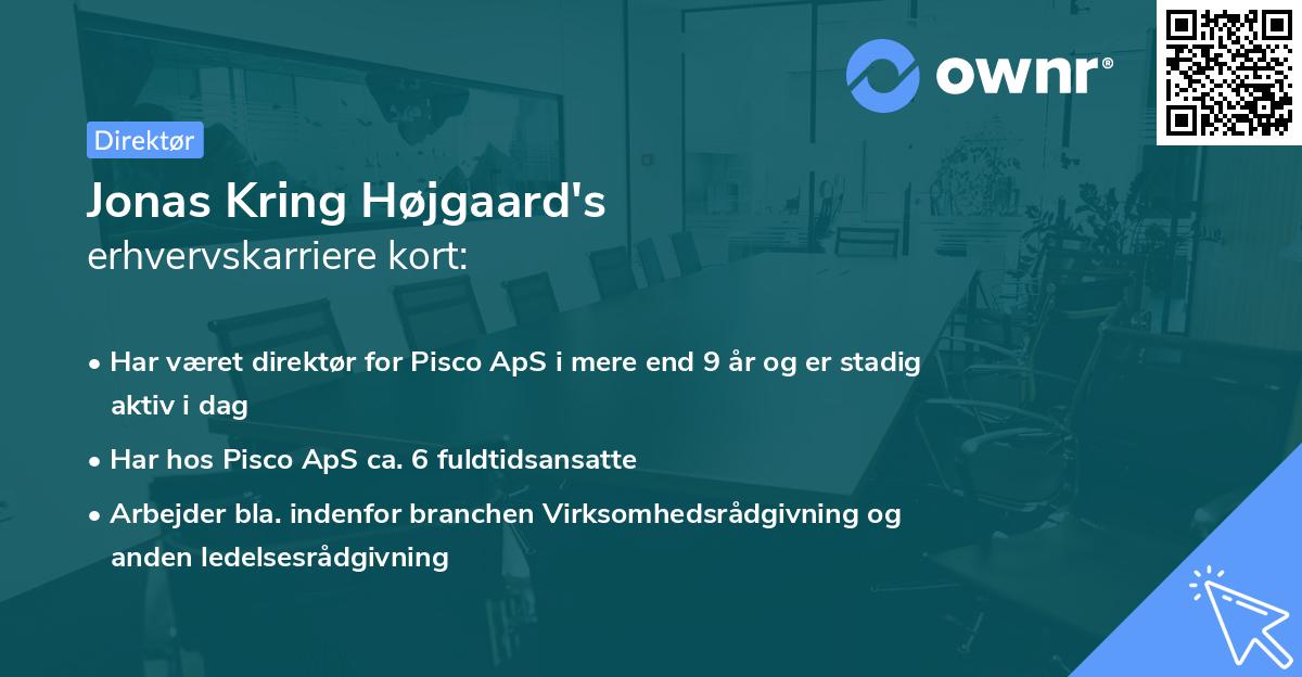 Jonas Kring Højgaard's erhvervskarriere kort