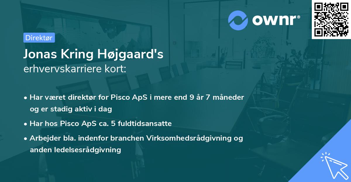Jonas Kring Højgaard's erhvervskarriere kort