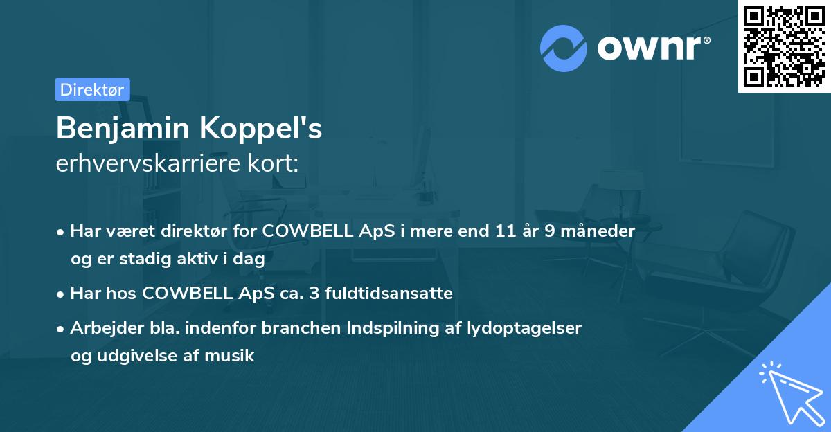 Benjamin Koppel's erhvervskarriere kort