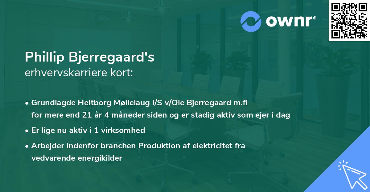 Phillip Bjerregaard's erhvervskarriere kort