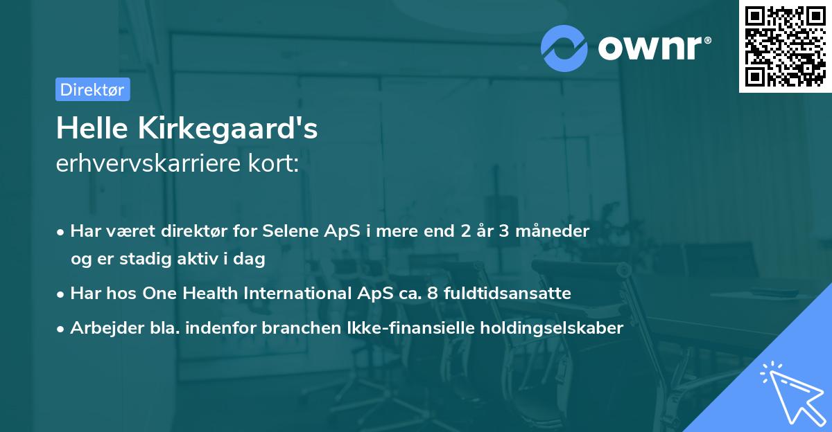 Helle Kirkegaard's erhvervskarriere kort