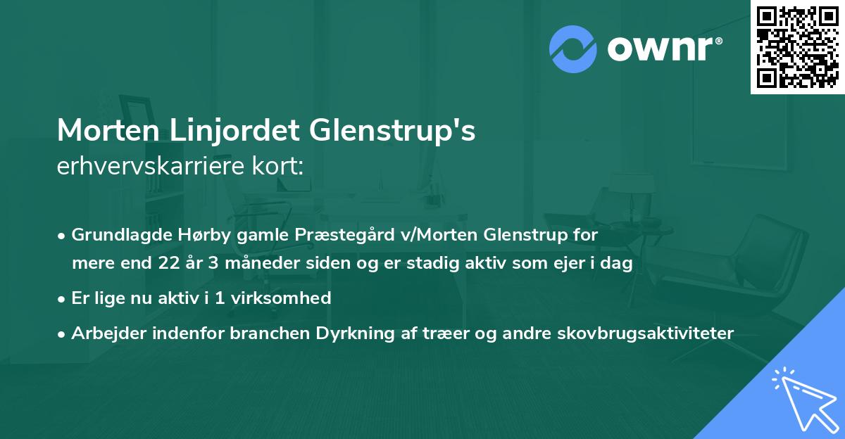 Morten Linjordet Glenstrup's erhvervskarriere kort