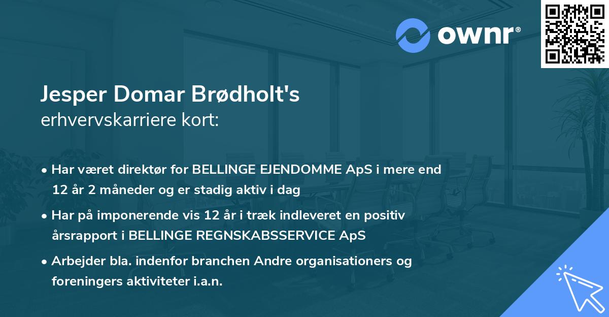 Jesper Domar Brødholt's erhvervskarriere kort