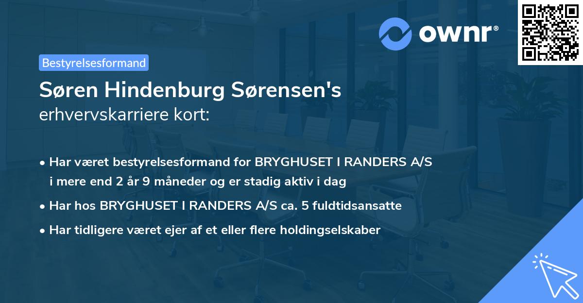 Søren Hindenburg Sørensen's erhvervskarriere kort