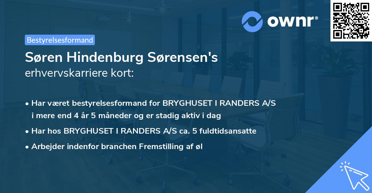 Søren Hindenburg Sørensen's erhvervskarriere kort