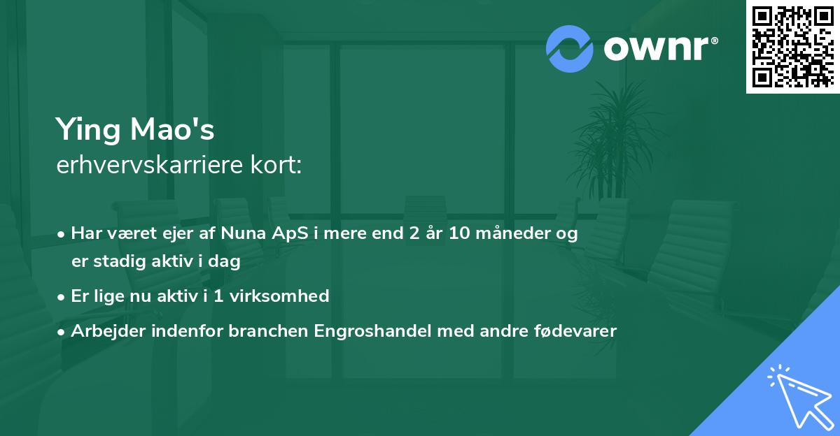 Ying Mao's erhvervskarriere kort