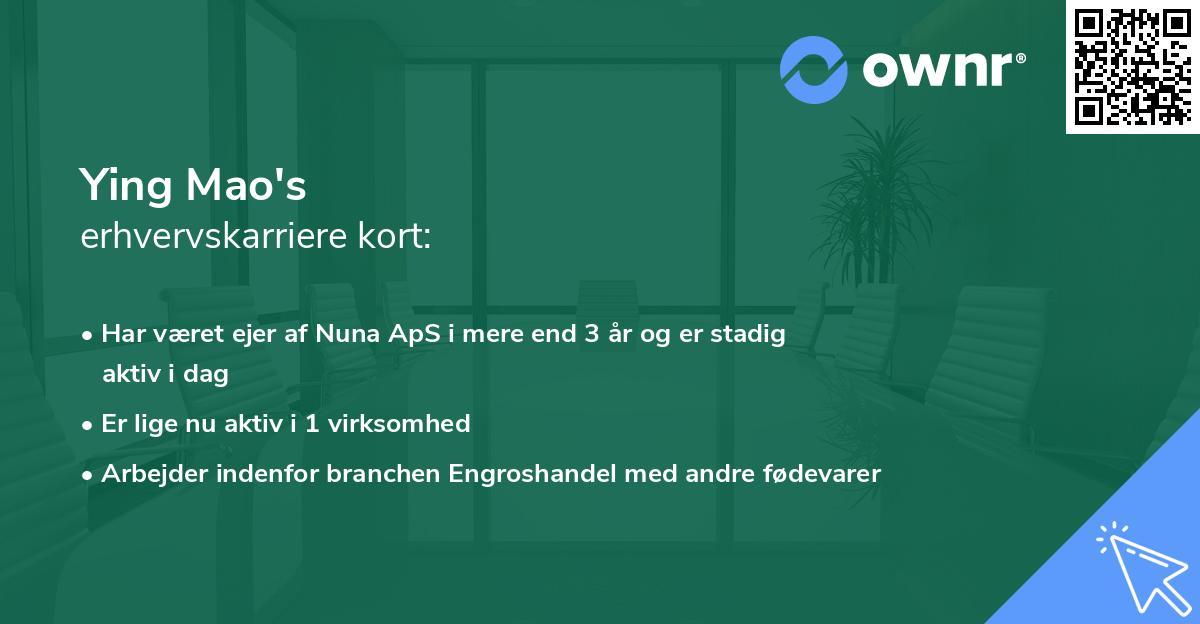 Ying Mao's erhvervskarriere kort