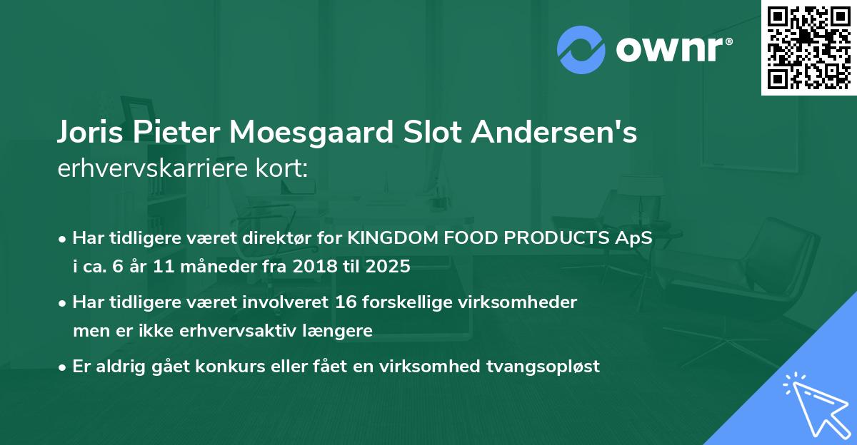 Joris Pieter Moesgaard Slot Andersen's erhvervskarriere kort