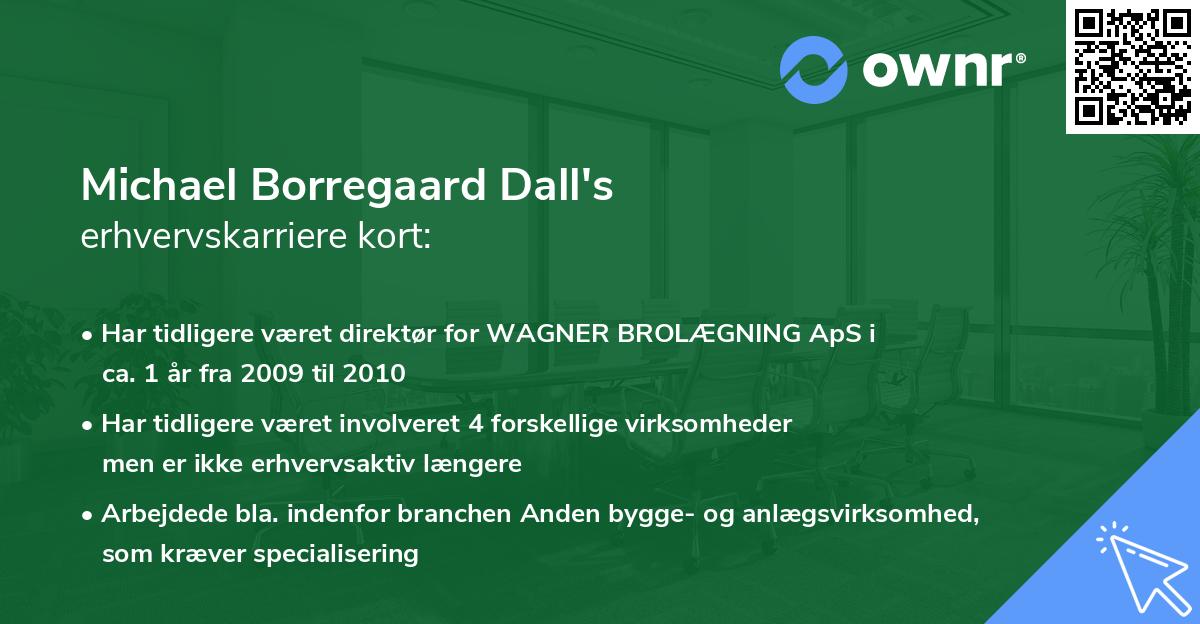 Michael Borregaard Dall's erhvervskarriere kort
