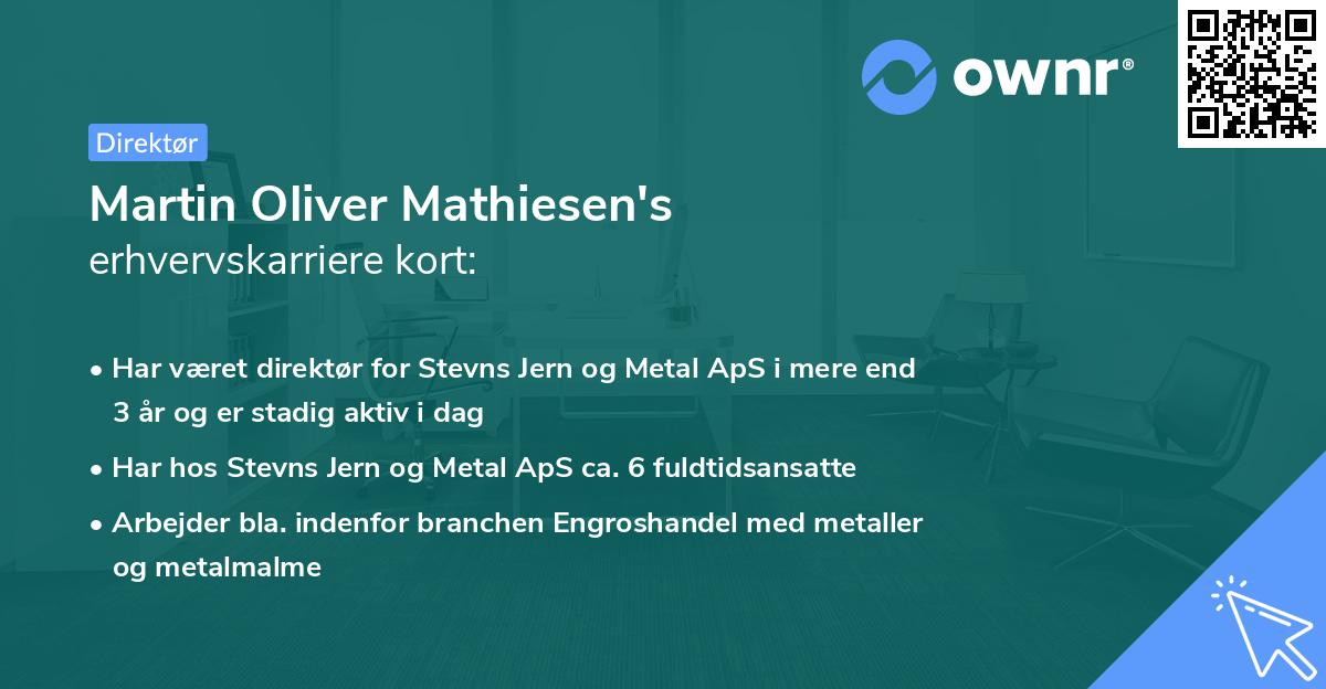 Martin Oliver Mathiesen's erhvervskarriere kort