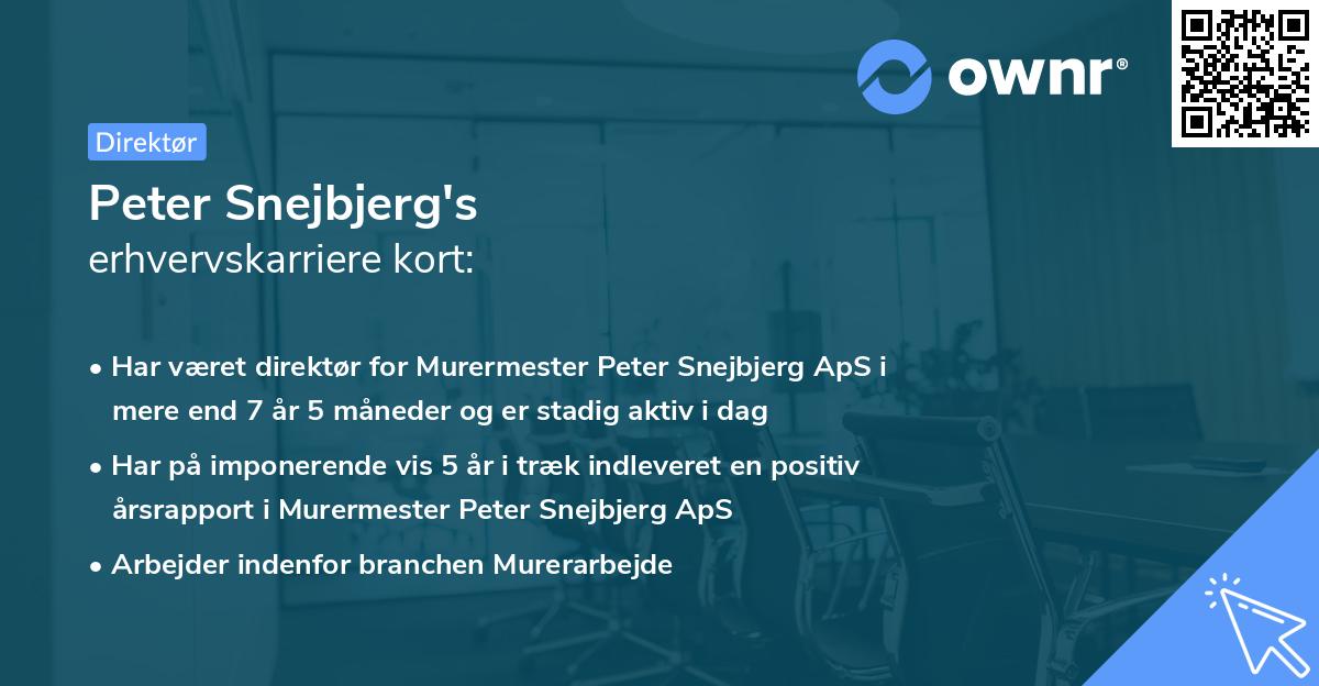 Peter Snejbjerg's erhvervskarriere kort