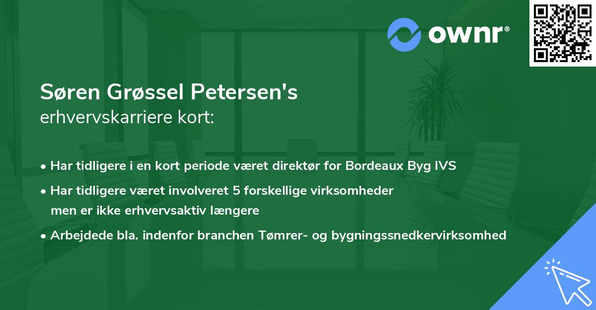 Søren Grøssel Petersen's erhvervskarriere kort