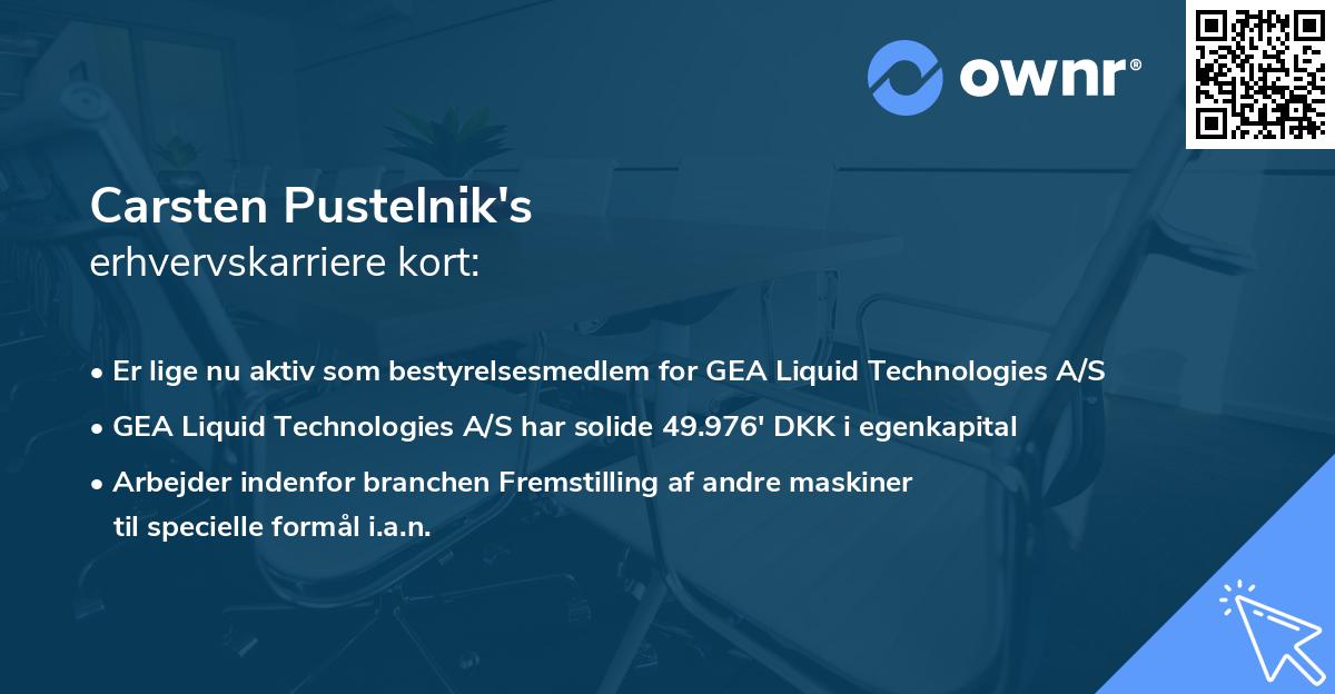 Carsten Pustelnik's erhvervskarriere kort