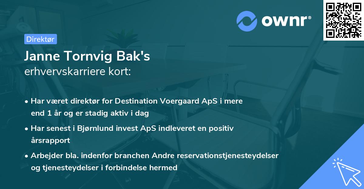 Janne Tornvig Bak's erhvervskarriere kort