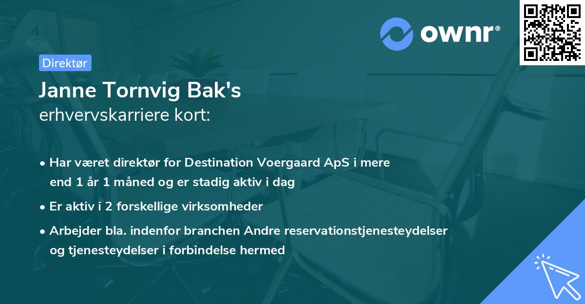 Janne Tornvig Bak's erhvervskarriere kort