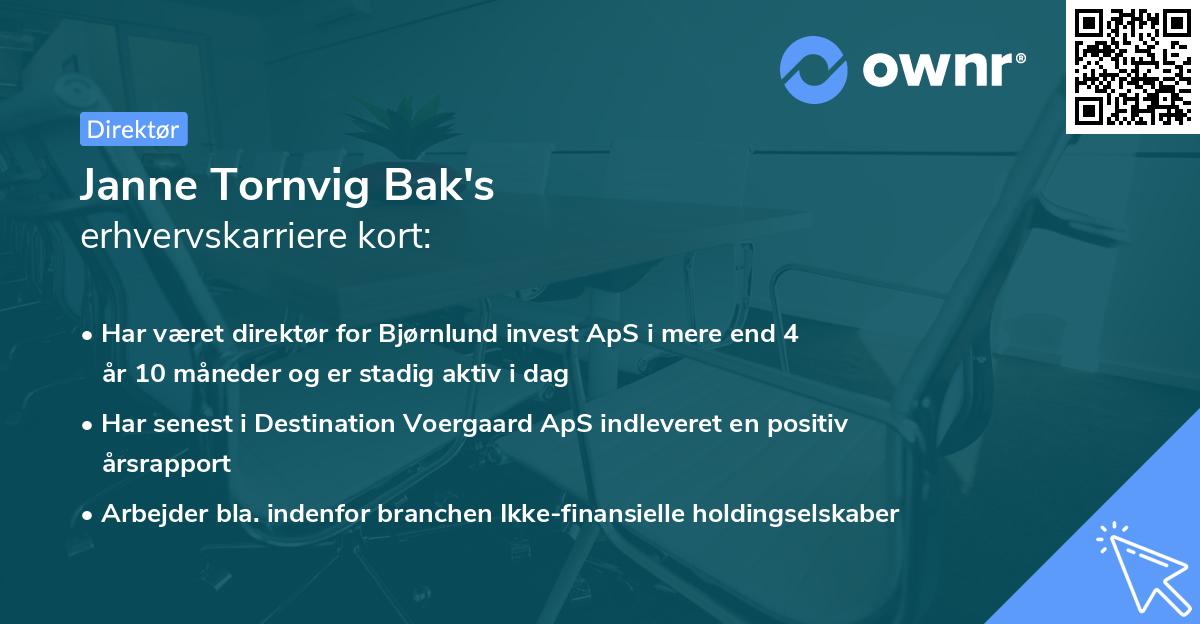 Janne Tornvig Bak's erhvervskarriere kort