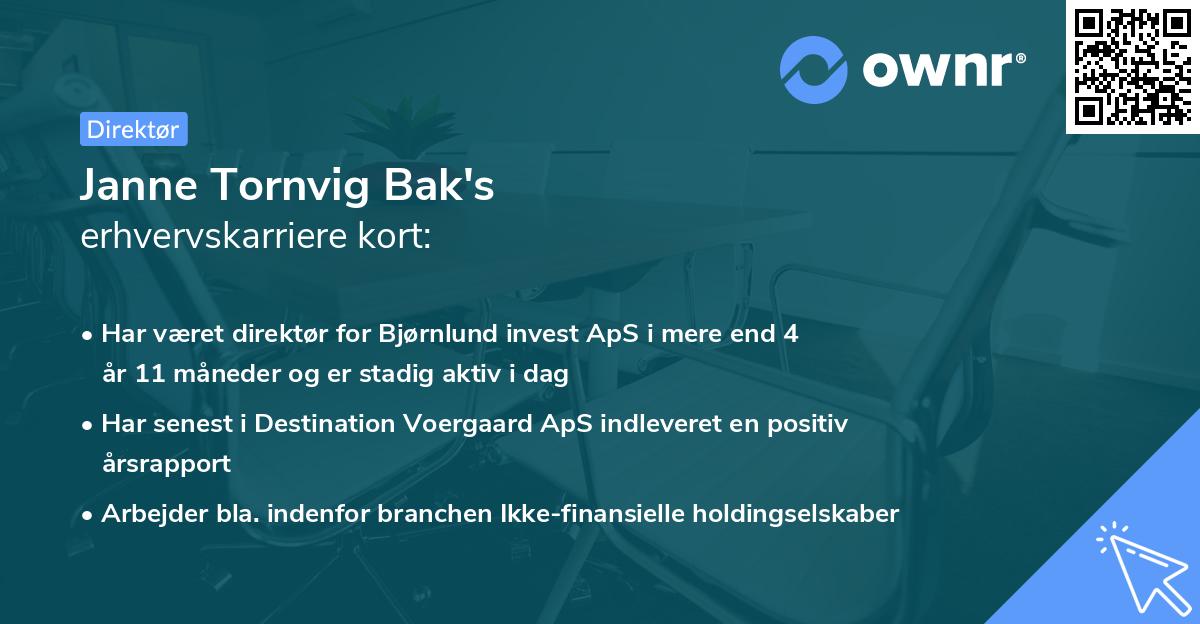 Janne Tornvig Bak's erhvervskarriere kort