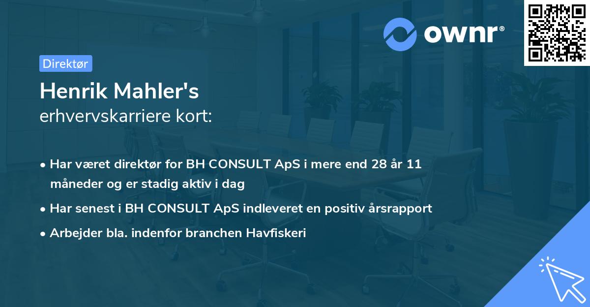 Henrik Mahler's erhvervskarriere kort