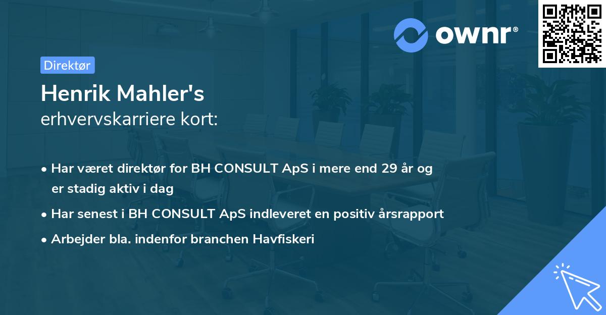 Henrik Mahler's erhvervskarriere kort