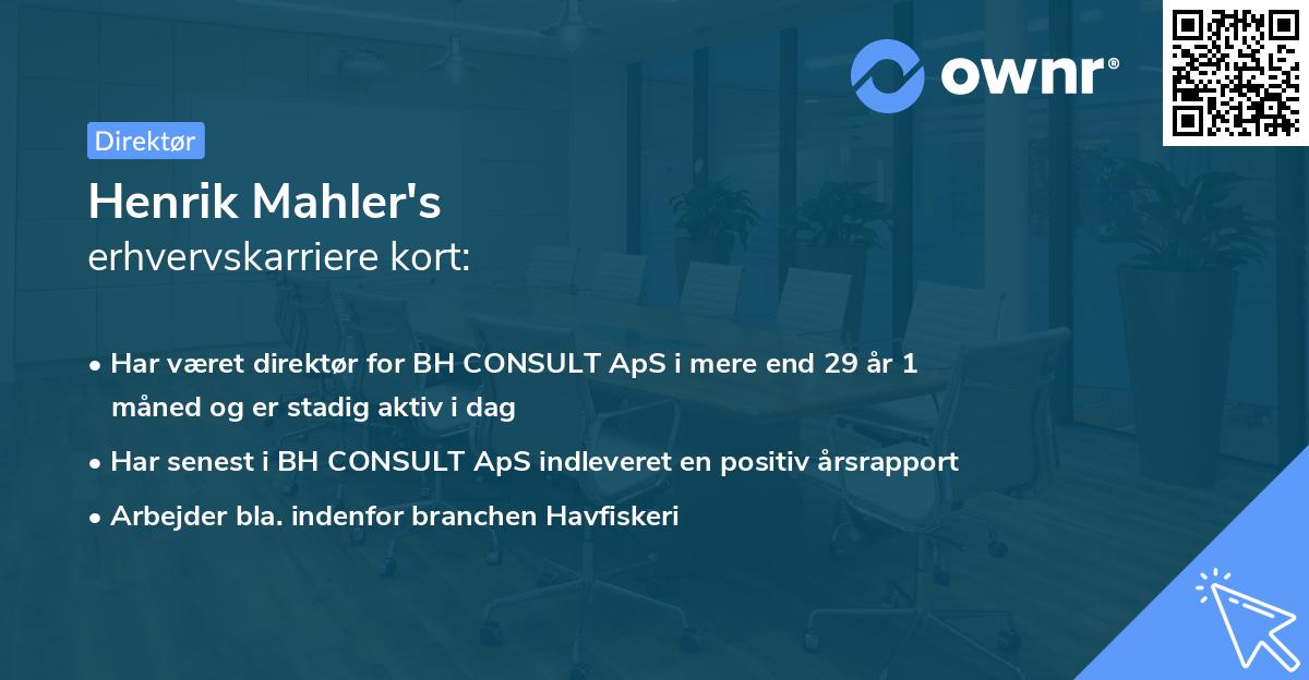 Henrik Mahler's erhvervskarriere kort