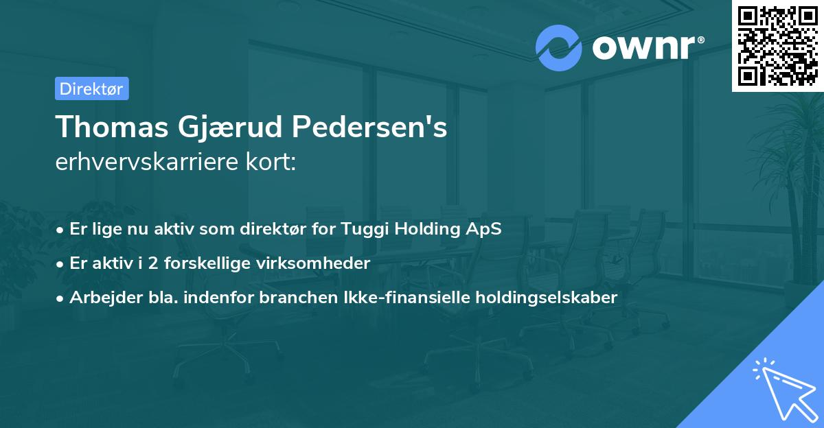 Thomas Gjærud Pedersen's erhvervskarriere kort