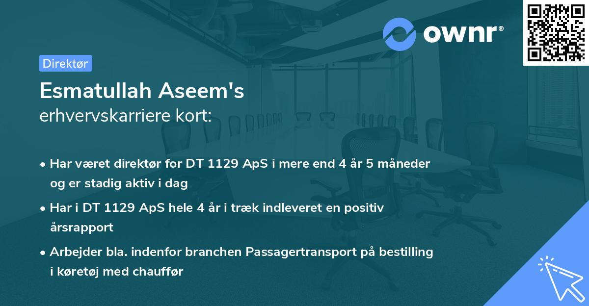 Esmatullah Aseem's erhvervskarriere kort