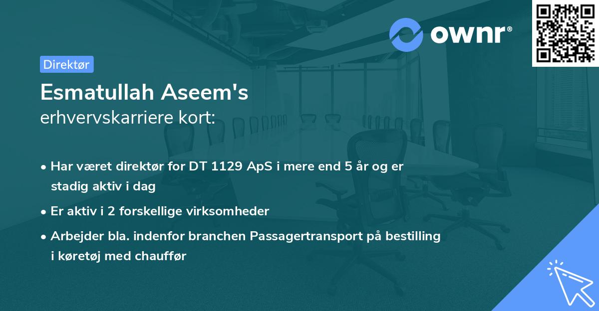 Esmatullah Aseem's erhvervskarriere kort