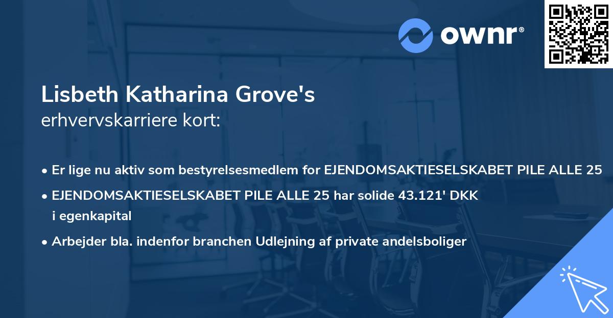 Lisbeth Katharina Grove's erhvervskarriere kort
