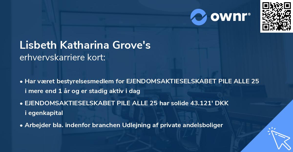 Lisbeth Katharina Grove's erhvervskarriere kort