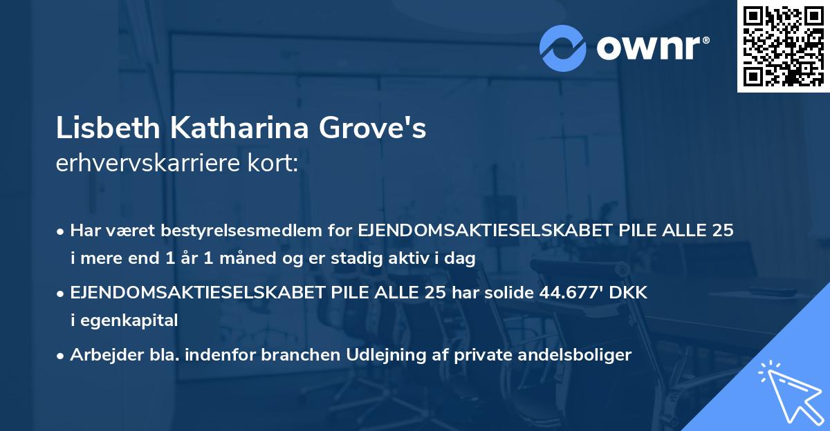 Lisbeth Katharina Grove's erhvervskarriere kort