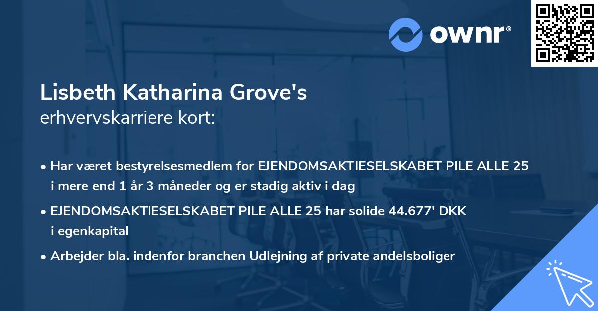 Lisbeth Katharina Grove's erhvervskarriere kort