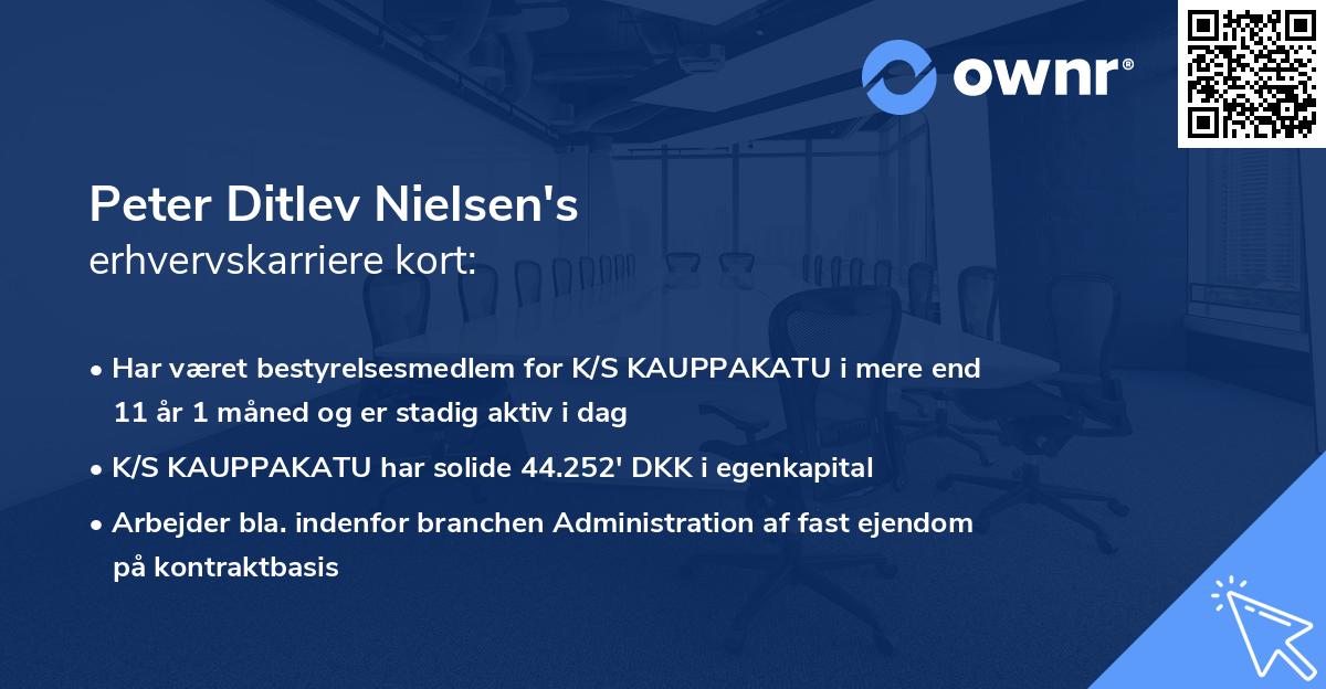 Peter Ditlev Nielsen's erhvervskarriere kort