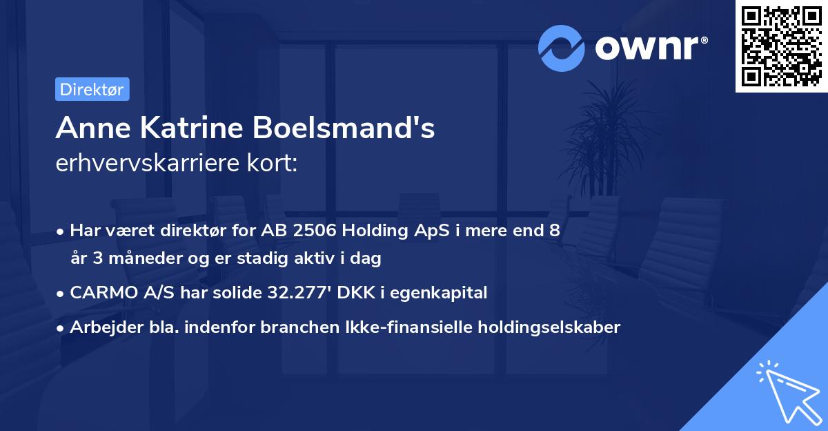 Anne Katrine Boelsmand's erhvervskarriere kort