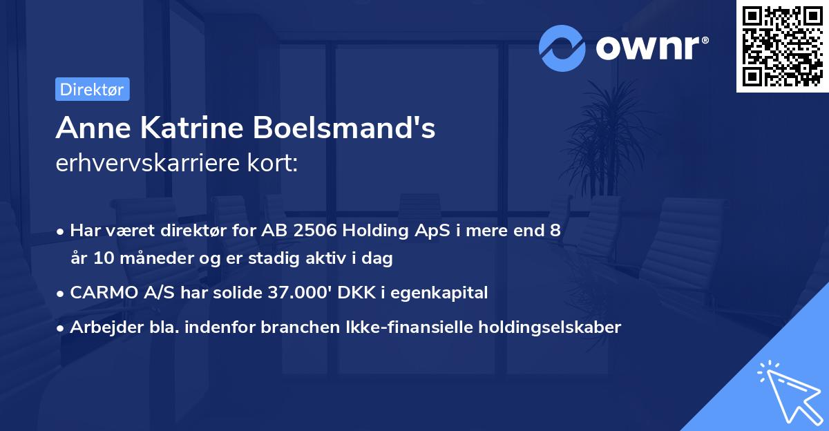 Anne Katrine Boelsmand's erhvervskarriere kort