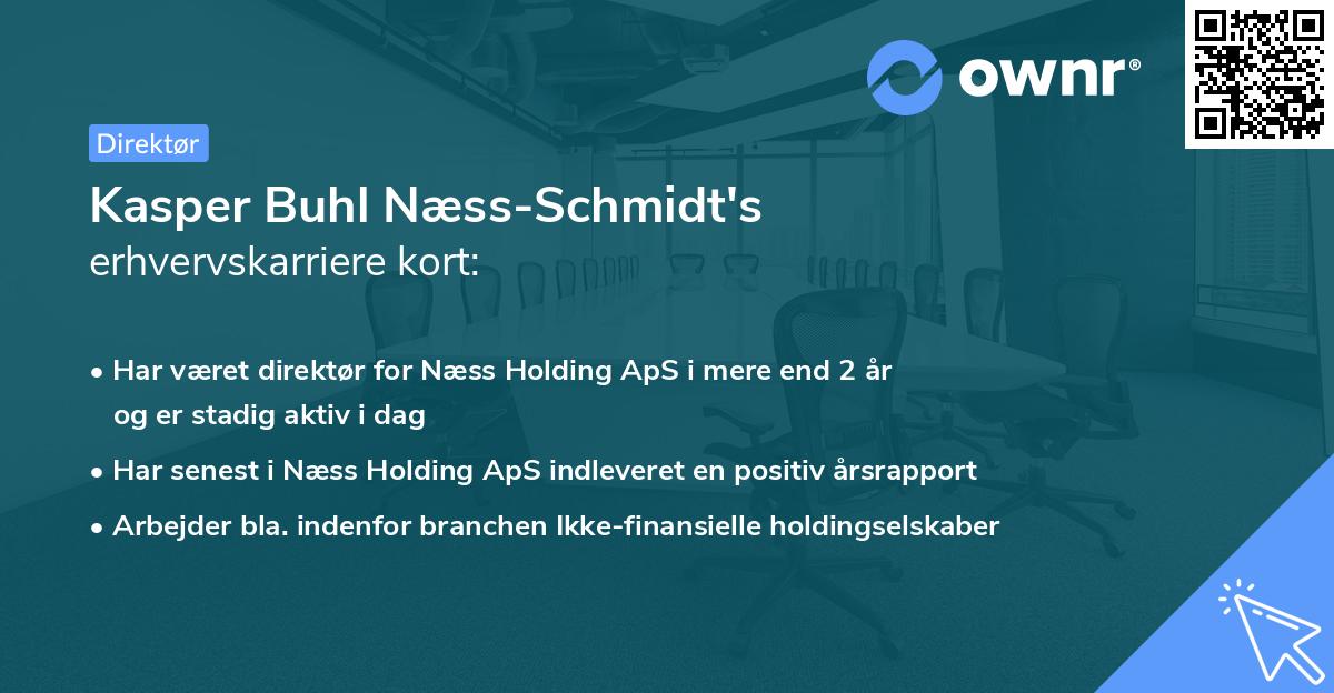 Kasper Buhl Næss-Schmidt's erhvervskarriere kort