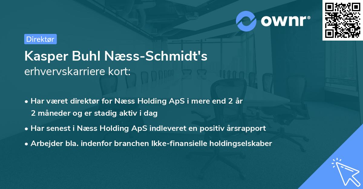 Kasper Buhl Næss-Schmidt's erhvervskarriere kort