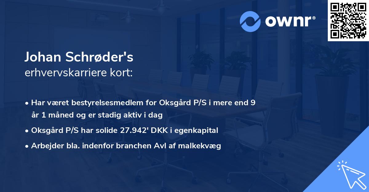 Johan Schrøder's erhvervskarriere kort