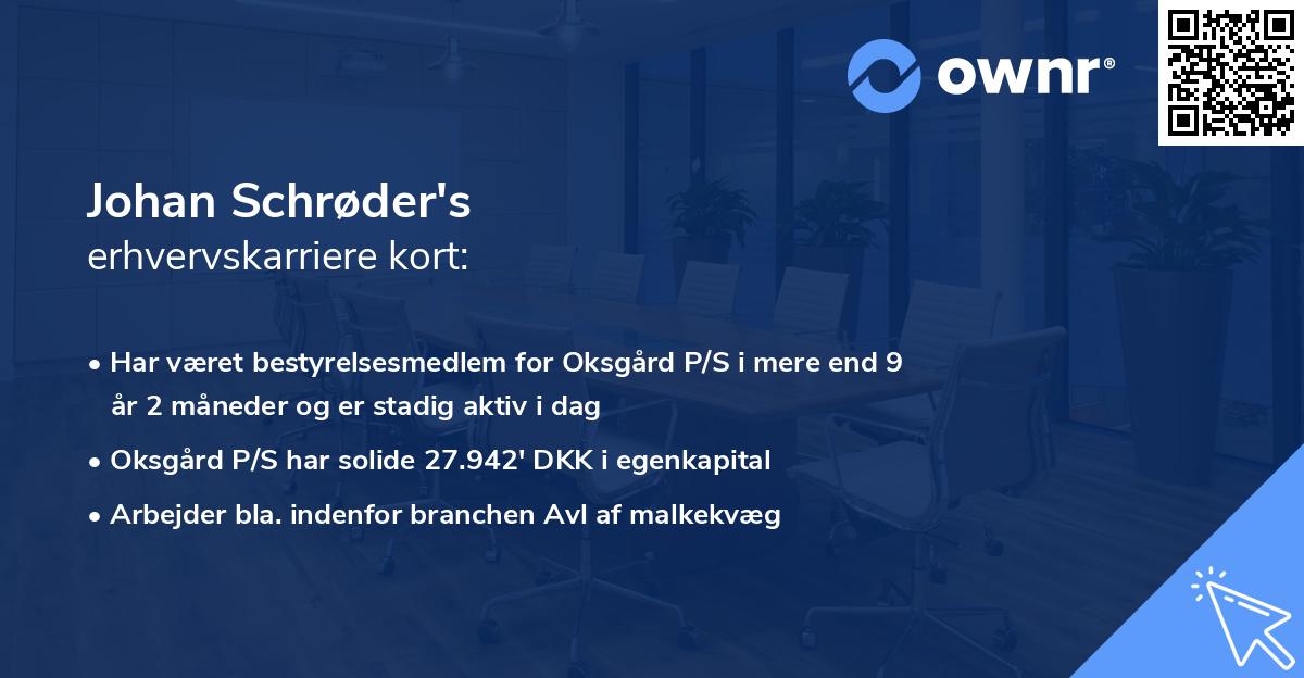 Johan Schrøder's erhvervskarriere kort