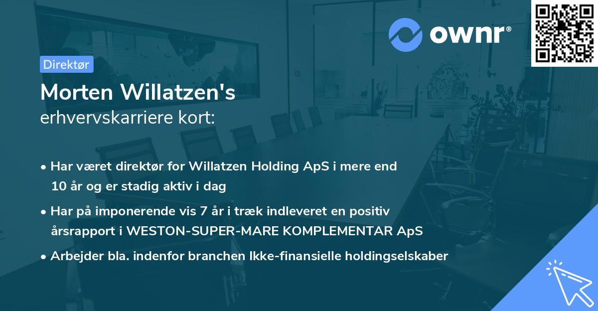 Morten Willatzen's erhvervskarriere kort