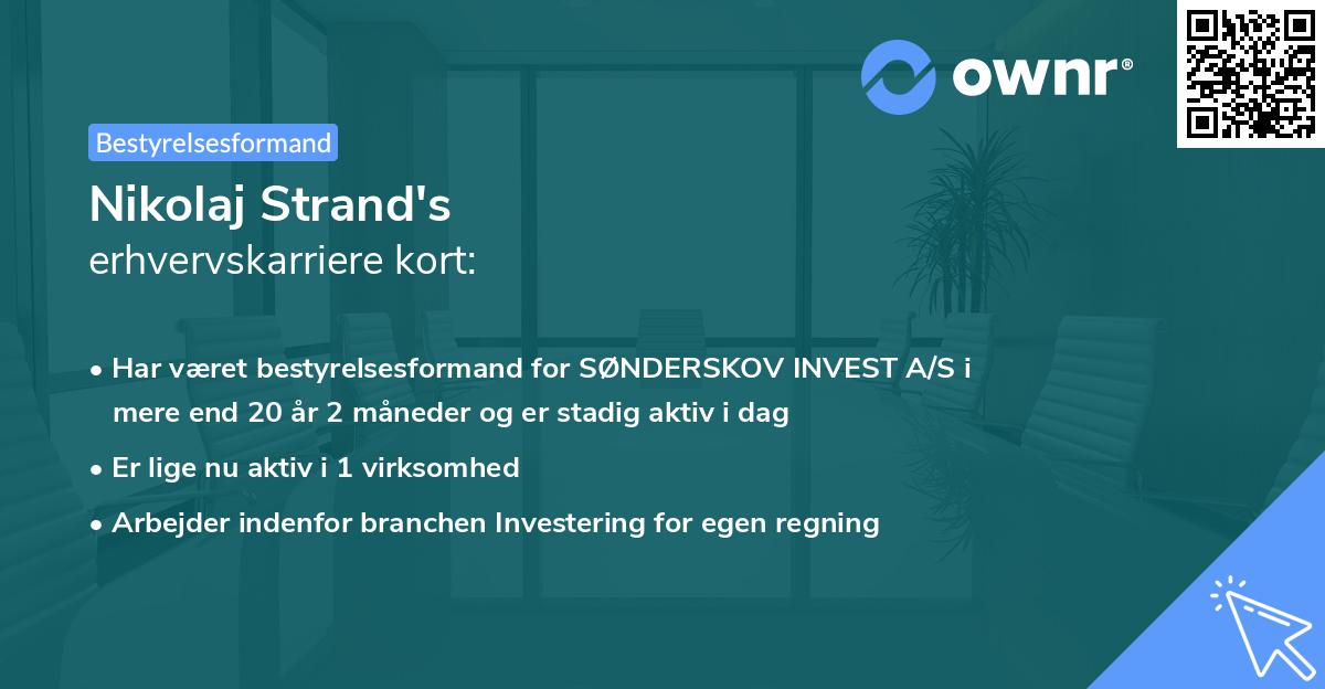 Nikolaj Strand's erhvervskarriere kort