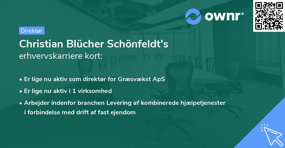 Christian Blücher Schönfeldt's erhvervskarriere kort