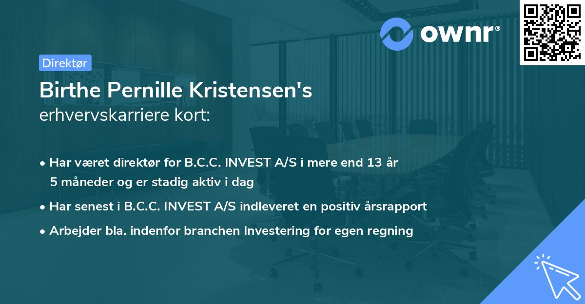 Birthe Pernille Kristensen's erhvervskarriere kort