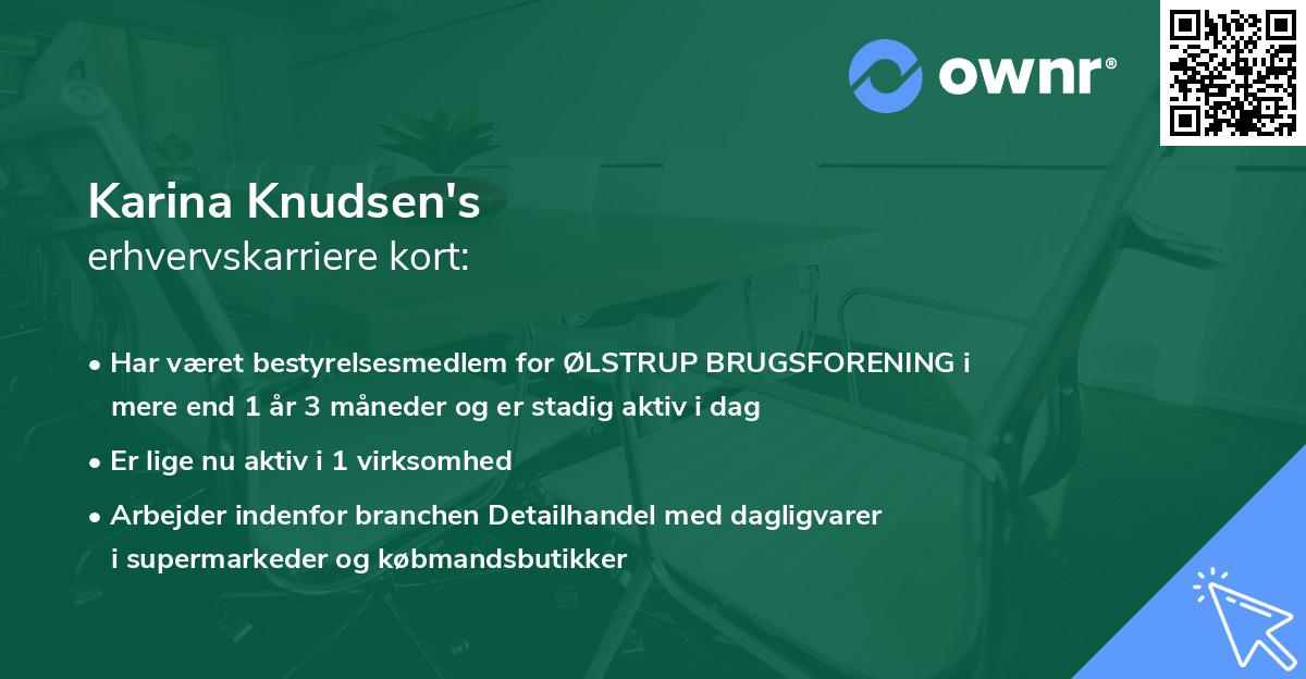 Karina Knudsen's erhvervskarriere kort