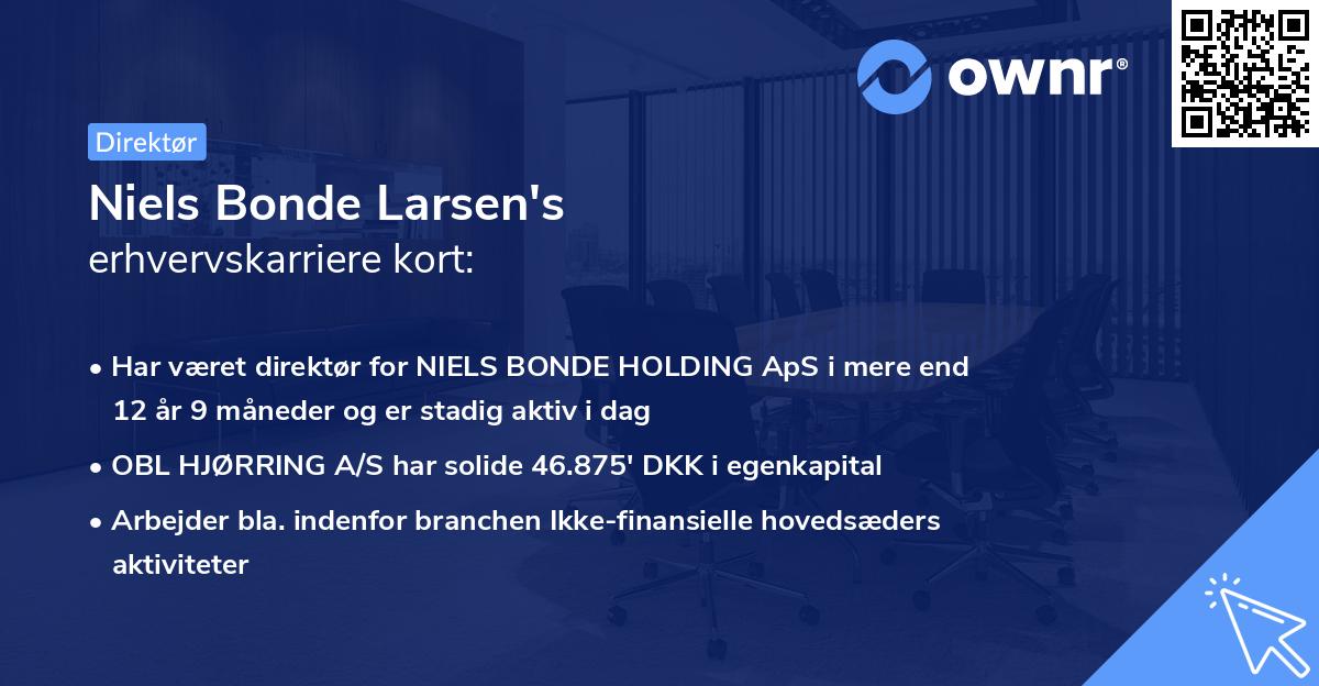 Niels Bonde Larsen's erhvervskarriere kort