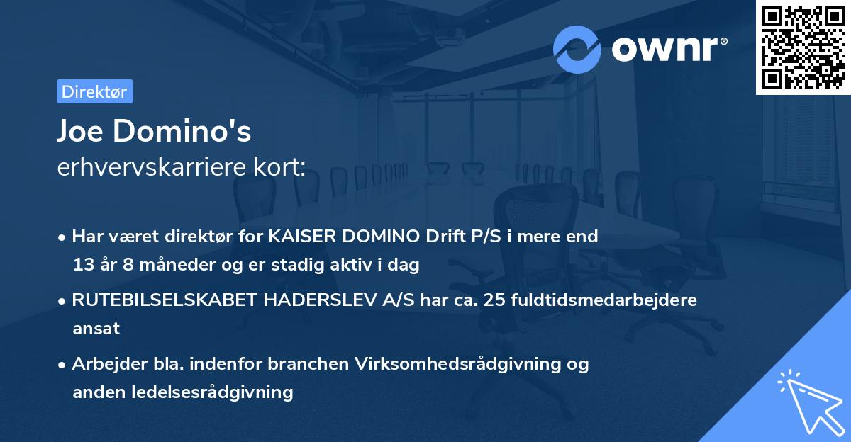 Joe Domino's erhvervskarriere kort