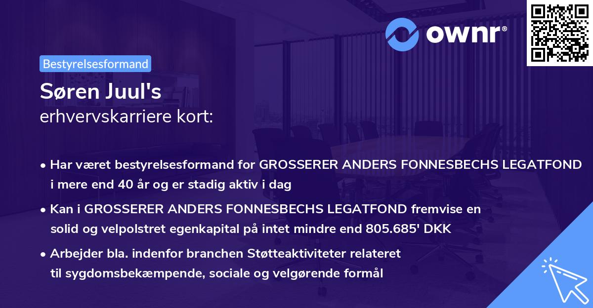 Søren Juul's erhvervskarriere kort