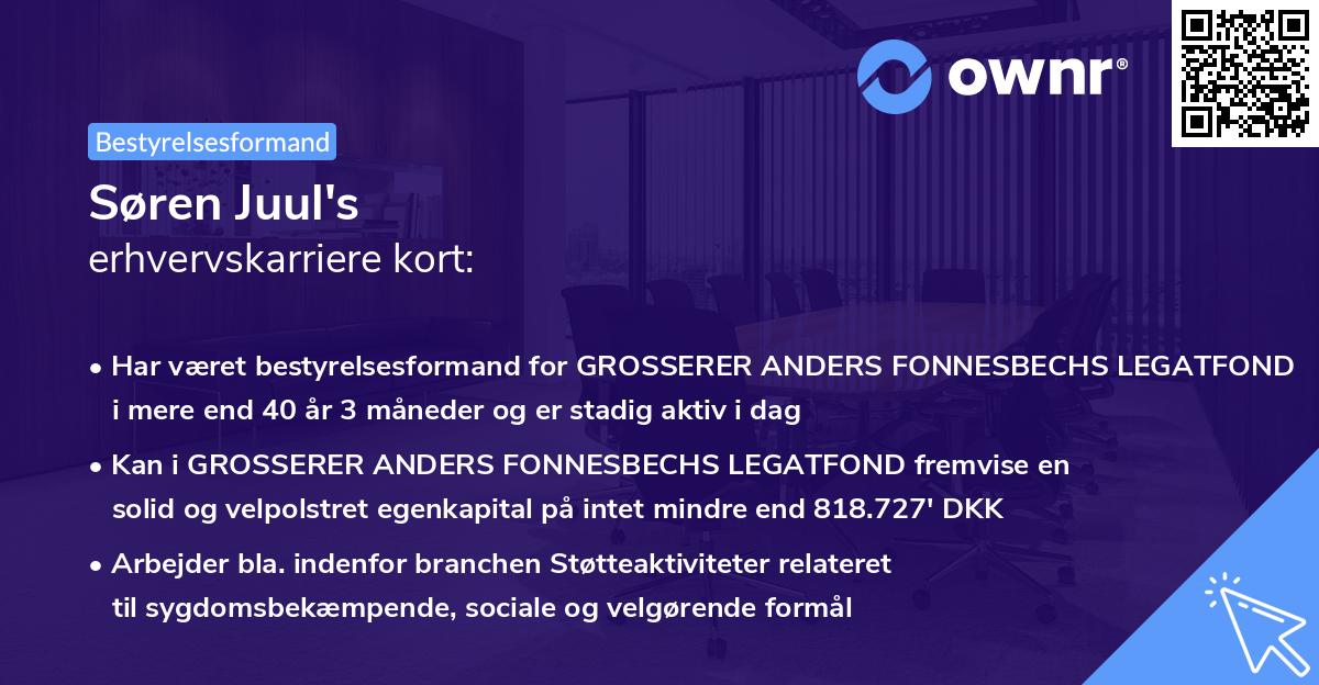Søren Juul's erhvervskarriere kort