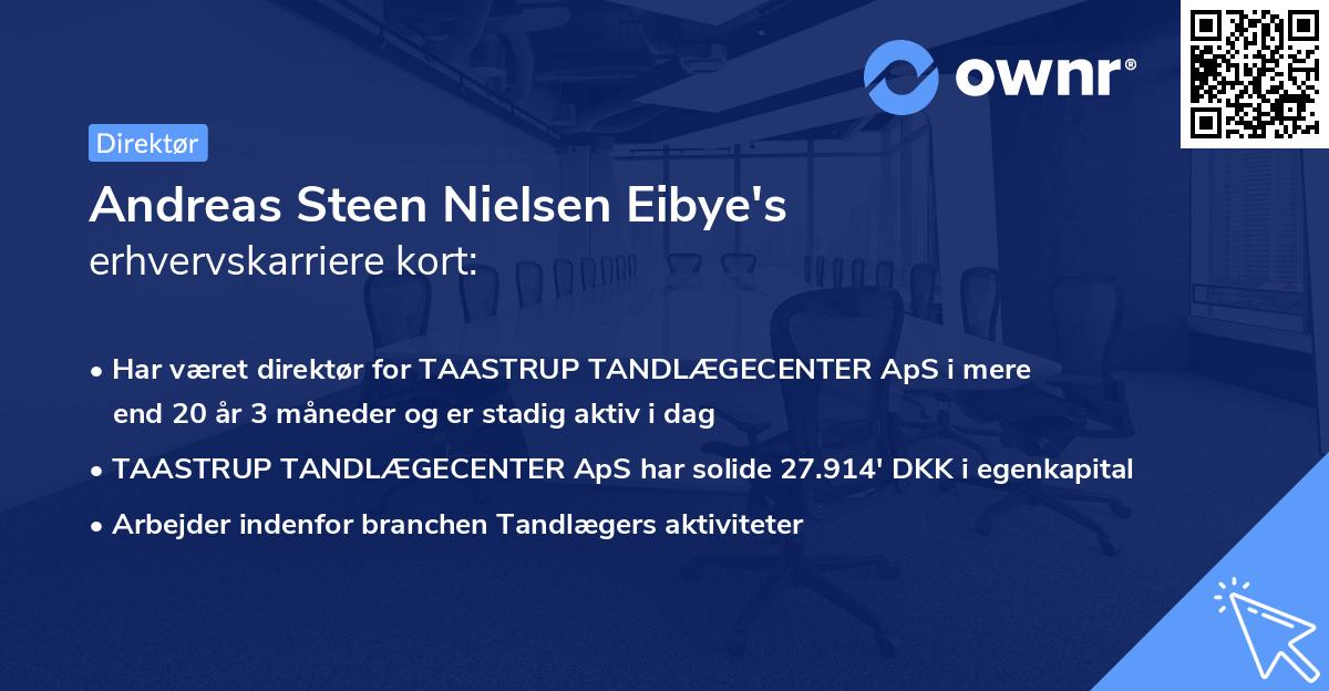 Andreas Steen Nielsen Eibye's erhvervskarriere kort